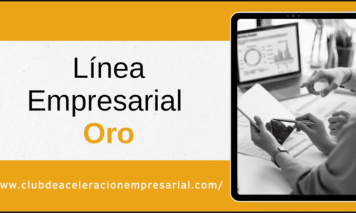 Línea Base Empresarial ORO