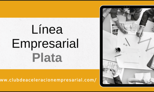 Línea Base Empresarial PLATA