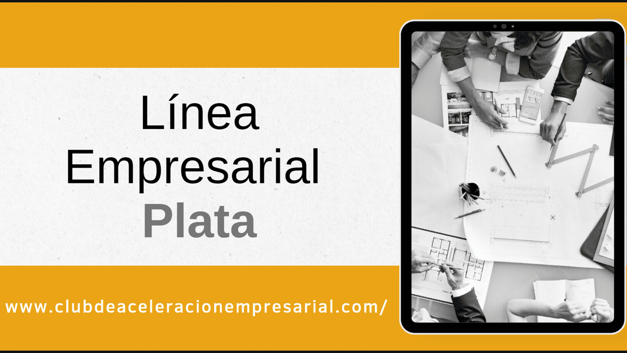 Línea Base Empresarial PLATA